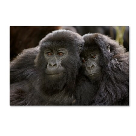 Trademark Fine Art Robert Harding Picture Library 'Two Monkeys' Canvas Art, 16x24 ALI19057-C1624GG